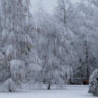 Мой голод ИЖЕВСК :: Владимир Максимов