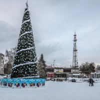 Предновогоднее затишье. :: Михаил "Skipper"