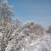 Зимний день :: Андрей Хлопонин