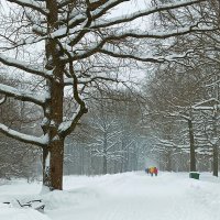 зимой в Ботаническом :: Елена Аксамит