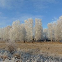 Кружевной ноябрь. :: nadyasilyuk Вознюк