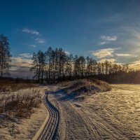 День зимнего солнцестояния :: Андрей Дворников