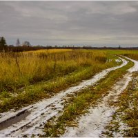 Поздняя осень :: Валентин Котляров