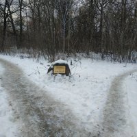 Налево пойдешь, направо пойдешь - всё Измайловский парк :: Андрей Лукьянов