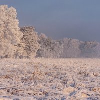 Ну что ж друзья!!! С последней рабочей неделей в этом году!!!! :: Вадим Басов