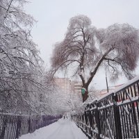 Городские зарисовки :: Ольга Довженко