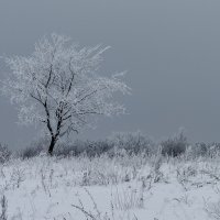 *** :: Андрей Андрианов