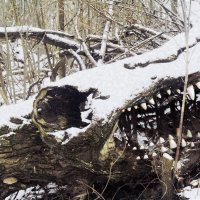 Подмосковный дракон. :: Вячеслав. Синицын