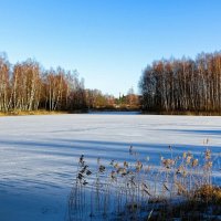 Про зиму в декабре. :: Милешкин Владимир Алексеевич 