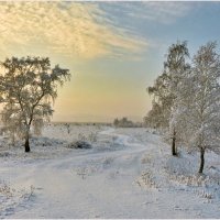 Зимний пейзаж :: Алексей Мезенцев