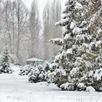 Когда в моём городе шёл снег. :: Восковых Анна Васильевна 