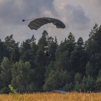 Удачное приземление :: Сергей Цветков