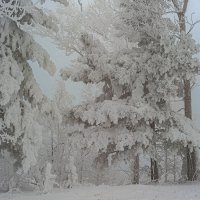 Зимний сон. :: Вадим Басов