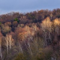 Последний свет перед закатом :: Георгий А