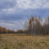 В поле... :: Владимир Жданов