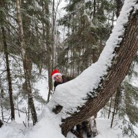 Настроение :) :: Денис Бочкарёв