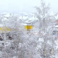 Предновогодний снег. :: Василий Палий