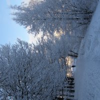 Измайловский парк :: Анна Воробьева