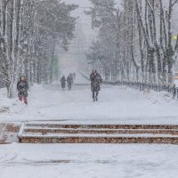 Последний снегопад декабря 2024 года. :: Анатолий. Chesnavik.