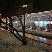 Новогодний тоннель на Тверском бульваре. :: Татьяна Помогалова