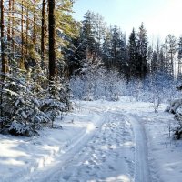 Про смоленскую зиму (из личного архива прошлых лет) :: Милешкин Владимир Алексеевич 