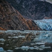 Национальный парк Glacier Bay в Аляске :: Aleksey Afonin