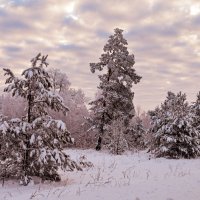 Облака, снег и иней :: Василий Колобзаров