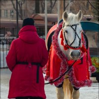 Эх, прокачу! :: Александр Тарноградский