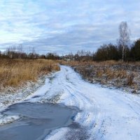 Лужи в январе - смоленская зима (репортаж из поездок по области). :: Милешкин Владимир Алексеевич 