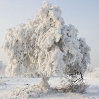 Зима в Усть - Абакане :: Виктор 