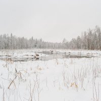 Зимнее умиротворение :: Дарья Меркулова