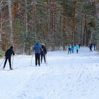 Лыжный сезон продлился насколько дней из-за резкого потепления. :: Милешкин Владимир Алексеевич 