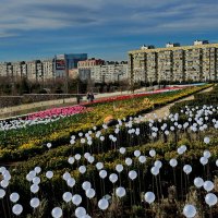 Парк " Краснодар "  или Галицкого... :: Николай Саржанов