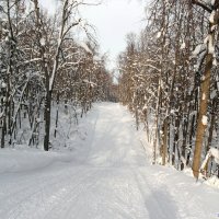 На лыжне января... :: Андрей Заломленков