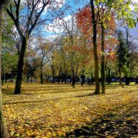 Осень в городе :: Роман Савоцкий