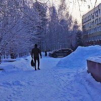 Коренная зима в сквере Победы! :: Владимир 