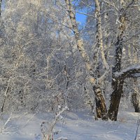 Сибирская зима :: Татьяна Лютаева