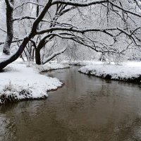 Январь в городском парке. :: Милешкин Владимир Алексеевич 