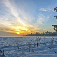 Январское утро :: Валерий Иванович