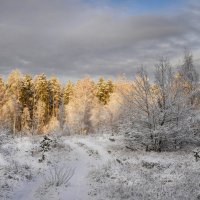 В лучах уходящего солнца :: Валерий VRN