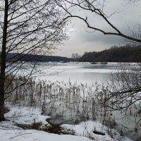 Мой Лебедянский в январе :: Андрей Лукьянов