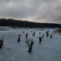 Причуды нынешнего января :: Андрей Лукьянов