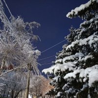 Наконец то и у нас снег выпал :: Татьяна Пальчикова