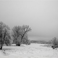 **** :: Алексей Мезенцев