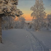 Зимними тропами 4... :: Владимир Чикота 