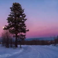 Январский вечер в окрестностях Ухты. Полнолуние. :: Николай Зиновьев