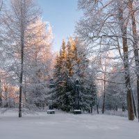 Про Питер :: Владимир Колесников