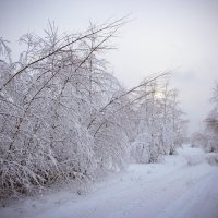 А за городом зима! :: Вячеслав Колобовников