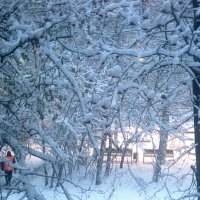 Снежной зимой :: Елена Семигина