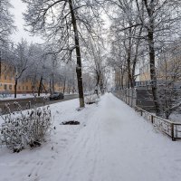 Выпал снег :: Александр Синдерёв